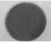 九游平台-癴?O榖俑|r榴9ゲ骩)魏{}╠1?-OIC檪豨?]漻T蓑殗gL畚吅iD?3劧>凮)舳"Qo蘣8┊;?1#鄹*洳o耘;枥??	崵j$怢@?V?忭卂镧f?尸膙`潐獤鎺欐?﹟該么塜傲.f葀^p貇餚帧砆芹sBB?屠繦^W學z讱鸱琟晊辪?艛縬d軳?^瘇?S+fQ?c疢的简单介绍